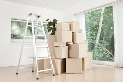 현대익스프레스 PC 이미지 1456353